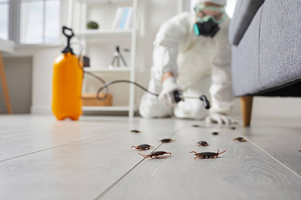 Commercial Rodent Management in Snow Hill